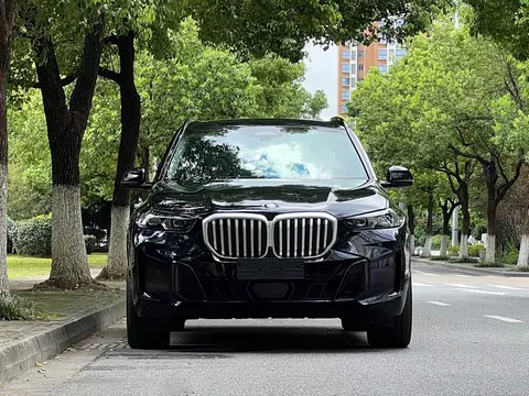 BMW X5, миниатюра 2