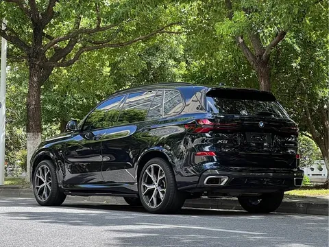 BMW X5, миниатюра 5