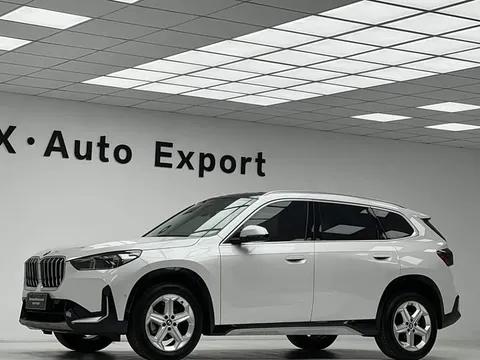 BMW X1, миниатюра 5