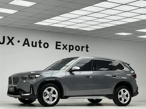 BMW X1, миниатюра 9